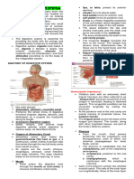 Digestive System - Summary