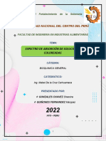 Informe - Espectro de Absorcion