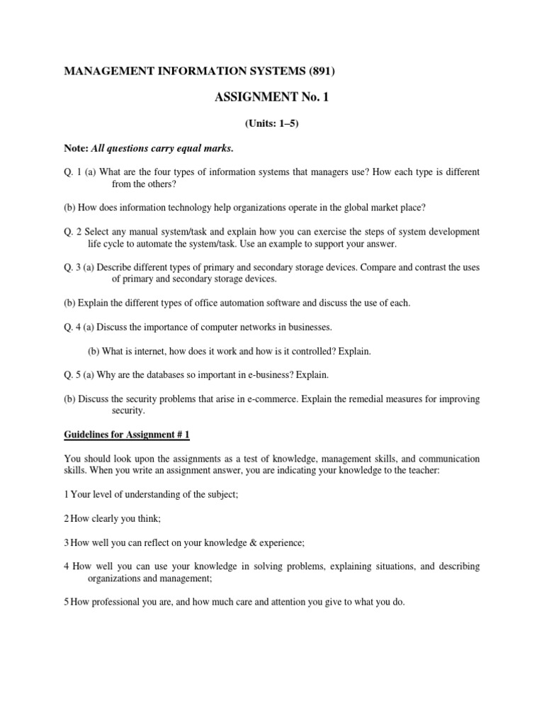 Management Information Systems Assignment | PDF | Information System ...