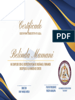 Certificado de Reconocimiento Finalización de Capacitación Elegante Blanco Dorado