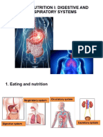 3 Nutrition I Digestive Respiratory