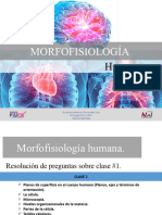 Clase 2 Morfofisiologia Sabados