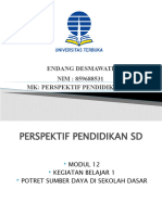 Perspektif P.SD