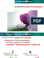 22.5 Plant Hormones