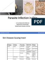 Parasite of Skin Infection 2023