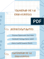 Enfermedad de La Ehrlichiosis