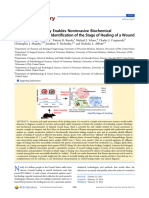 Raman Spectroscopy Enables Noninvasive Biochemical Characterization and Identi Fication of The Stage of Healing of A Wound