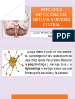 MI Exposición Meningitis y Encefalitis