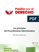 Los Principios Del Procedimiento Administrativo PDF Gratis
