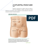 TRABAJO HERNIA ABDOMINAL