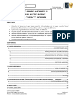 Nº15 - (13-10-21) Anatomia I-Músculos Del Abdomen II-3