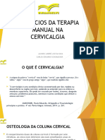 Benefícios Da Terapia Manual Na Cervicalgia