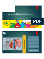 เอกหทัย แซ่เตีย MS.C, CDT: Excretory function