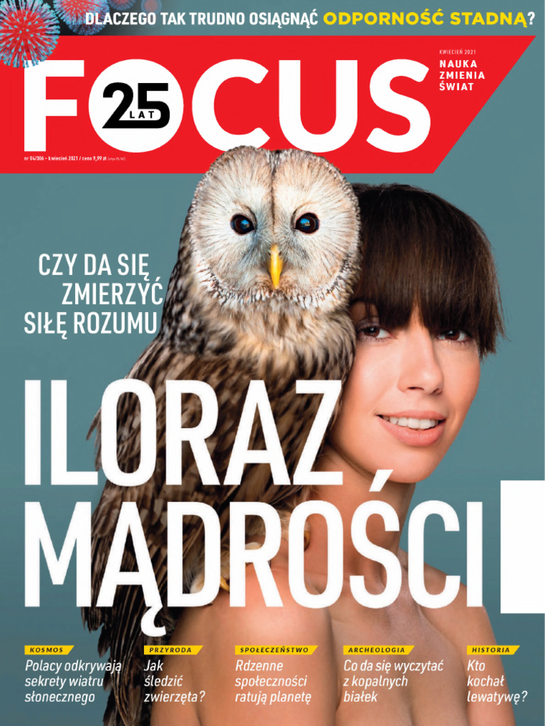 Focus 4 2021 | PDF