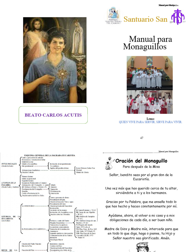 Manual Para Monaguillos 2 Pdf Misa Liturgia Eucaristía