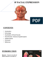 Final Seminar Facial Expression