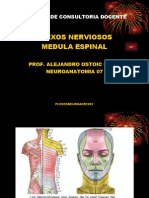 Plexos Nerviosos y Medula