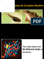 SM Animal Phy Lec Hormones