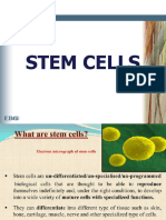 Stem Cell