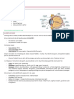 La Vista: Anatomia de L' Ull