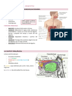 Tema 9: L' Aparell Digestiu: El Tub Digestiu I Òrgans Annexos/Accessoris