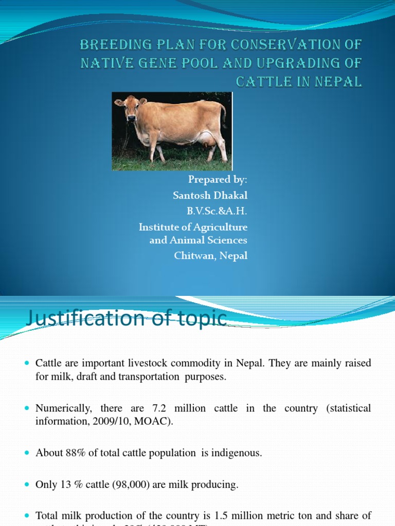 Cattle Breeding Plan PDF Plant Breeding Cattle