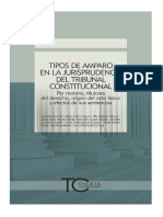 Tipos de Amparo en La Jurisprud - Gerardo Eto Cruz - Mario Castil