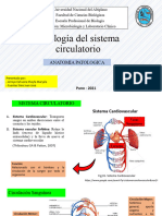 Patologia del sistema circulatorio