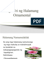 Mga Uri NG Halamang Ornamental Demo