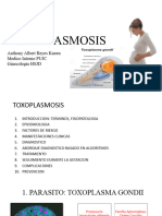 Toxoplasmosis Anthony Reyes 