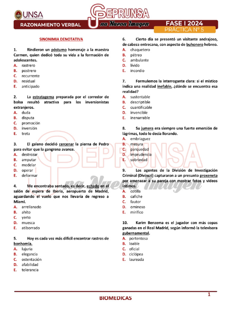 Kami Export - P-05 RAZ. VERBAL CEPRUNSA I FASE 2024 | PDF