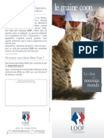 Fiche Race Mainecoon