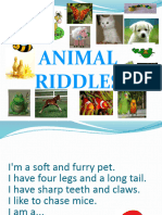 Animal-Riddle 23395