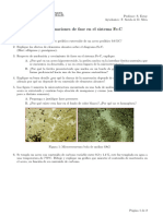 Ayudantía Transformaciones de Fase en El Sistema Fe-C