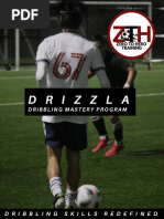 ZTH Player Accelerator Training Plan | PDF | Foot | Ball Games