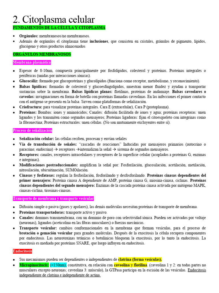 Estructura y Función del Citoplasma Celular | PDF | Lisosoma | Microtúbulos
