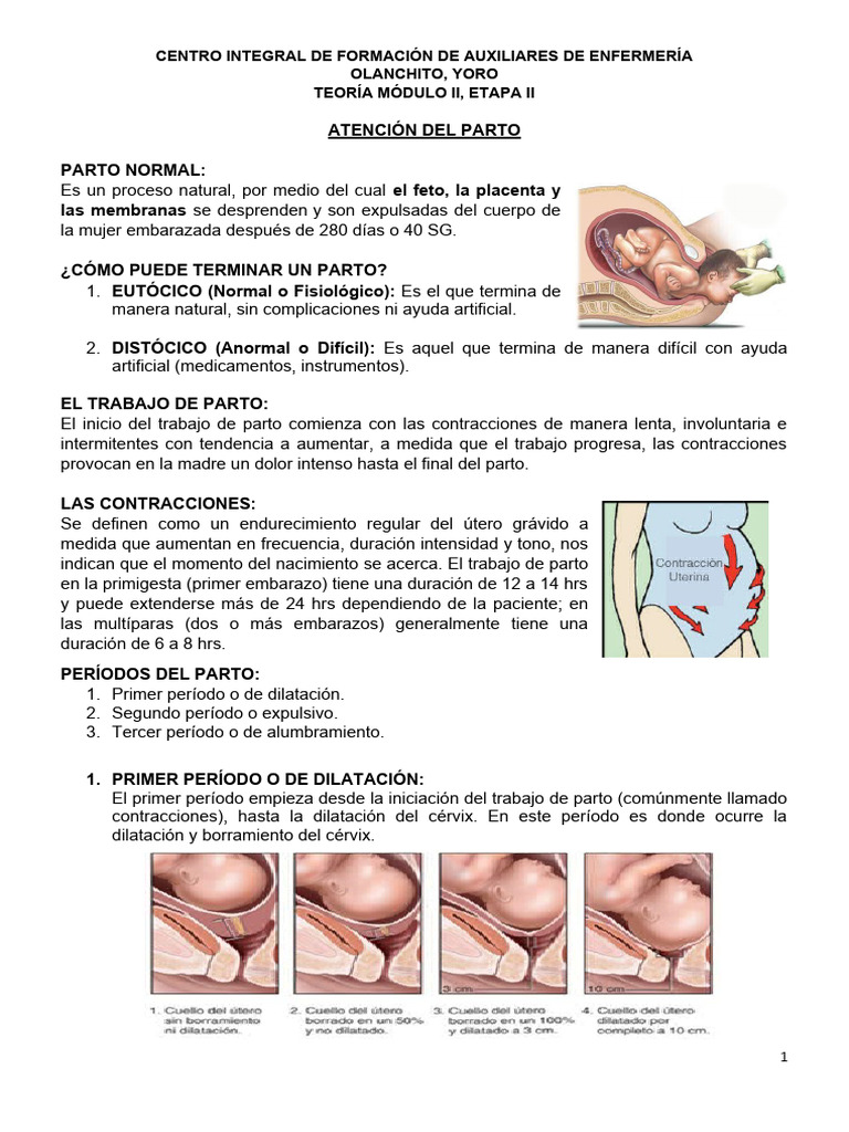 Atención Integral en el Parto Normal | PDF | Relaciones personales ...