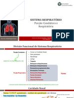 Aula 3. Sistema Respiratório