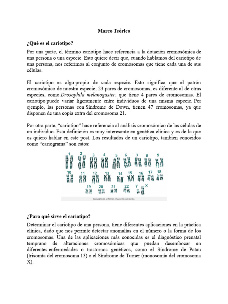 Cariotipo PDF