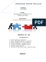 Tutoria - Pfa - Biograma Formativo y Profesional