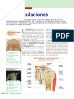 4 3°articulaciones extractPDFpages