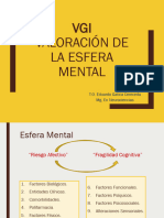 VGI Valoración Mental PDF - 210719 - 191843