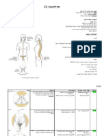 CV, מסלול, נקודות, איורים 23.01.06