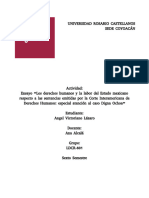 Actividad 5_ Ensayo “Los Derechos Humanos y La Labor Del Estado Mexicano Respecto a Las Sentencias Emitidas Por La Corte Interamericana de Derechos Humanos_ Especial Atención Al Caso Digna Ochoa”_ La Protección de Los Derechos Humanos de Las Vic
