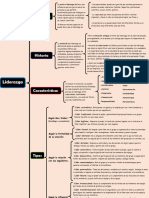 Cuadro Sinoptico Sobre Liderazgo Nuevo