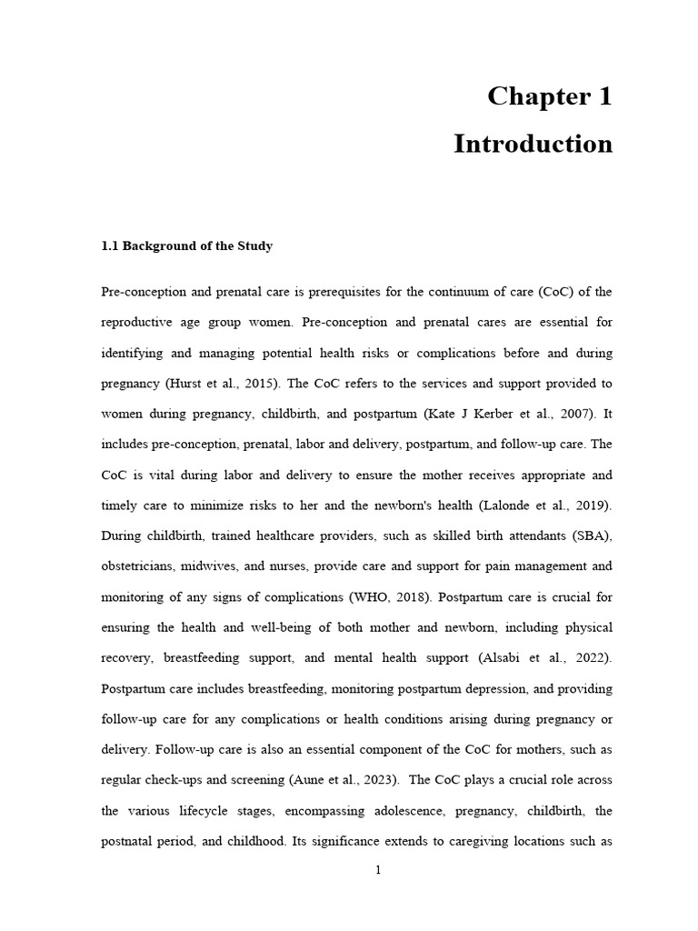 Review document pdf maternal death maternal health