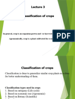 Classification of Crops