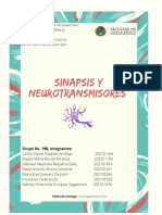 Esquema Sinápsis y Neurotransmisores, Grupo 19B