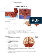 Tema 5