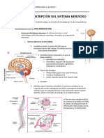 Tema 2